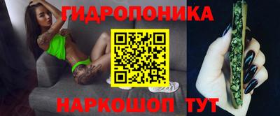 мдпв Аргун