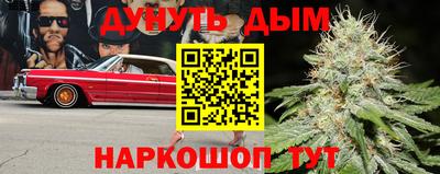 мдпв Аргун
