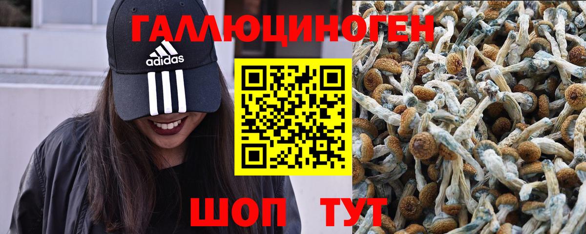 Галлюциногенные грибы прущие грибы Берёзовский