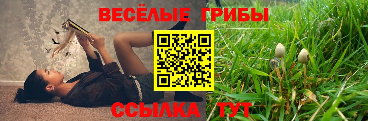 Псилоцибиновые грибы мицелий  Вход с VPN  Берёзовский 